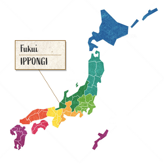 IPPONGI Denshin Yuki Junmai Ginjo 720ml