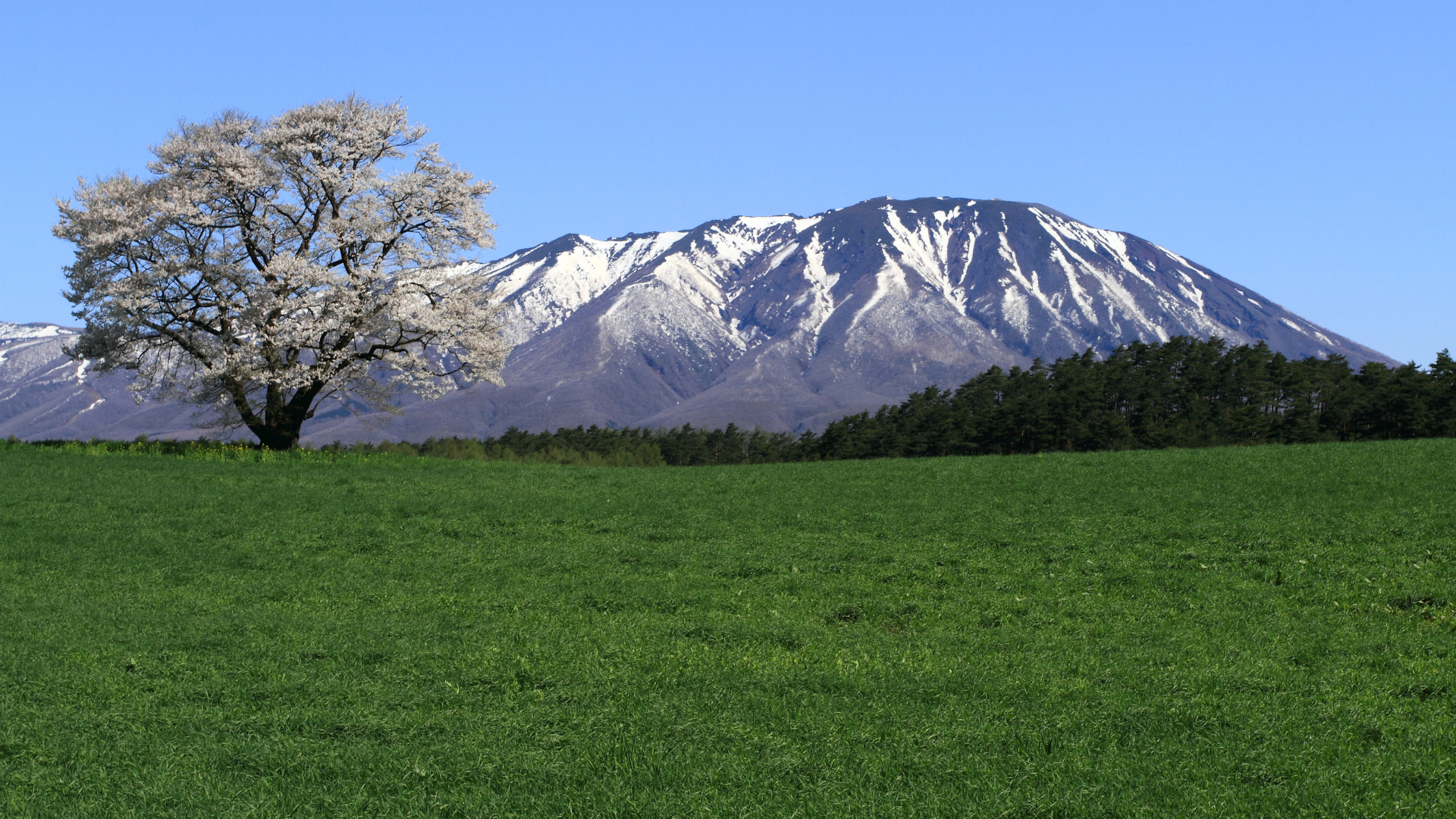 Iwate