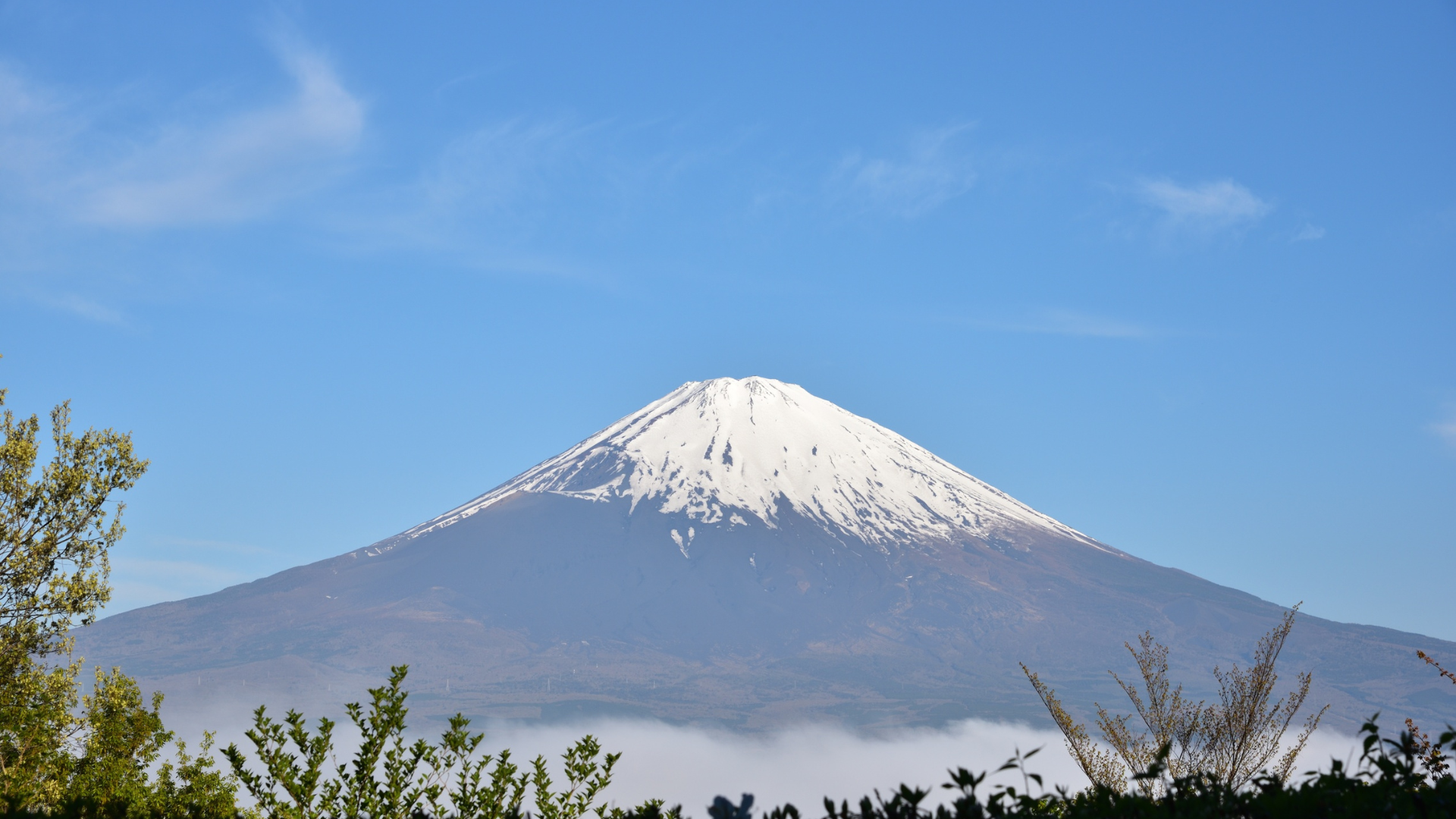 Shizuoka