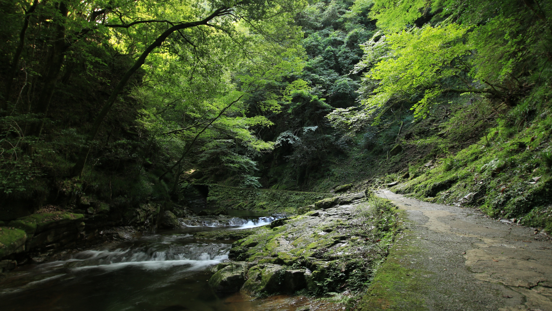 Aomori