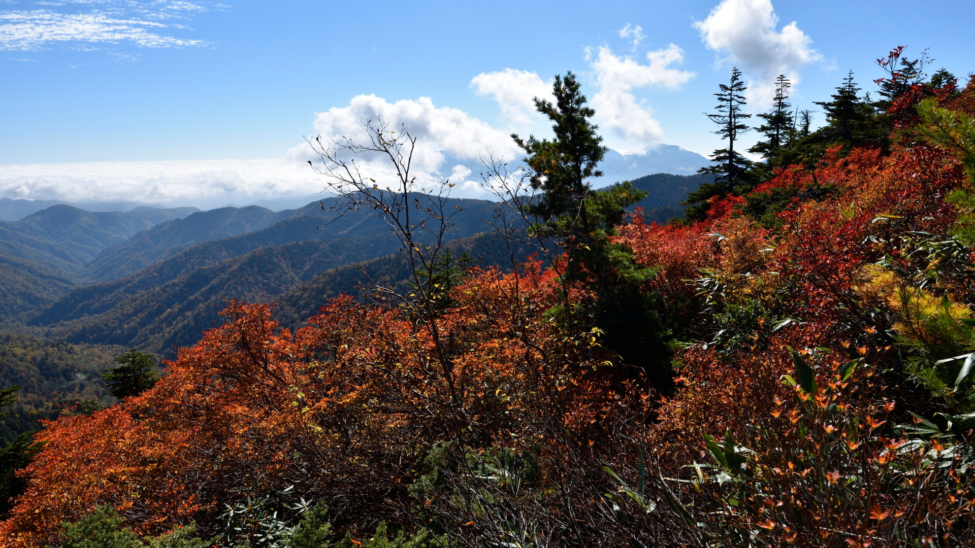 Fukushima