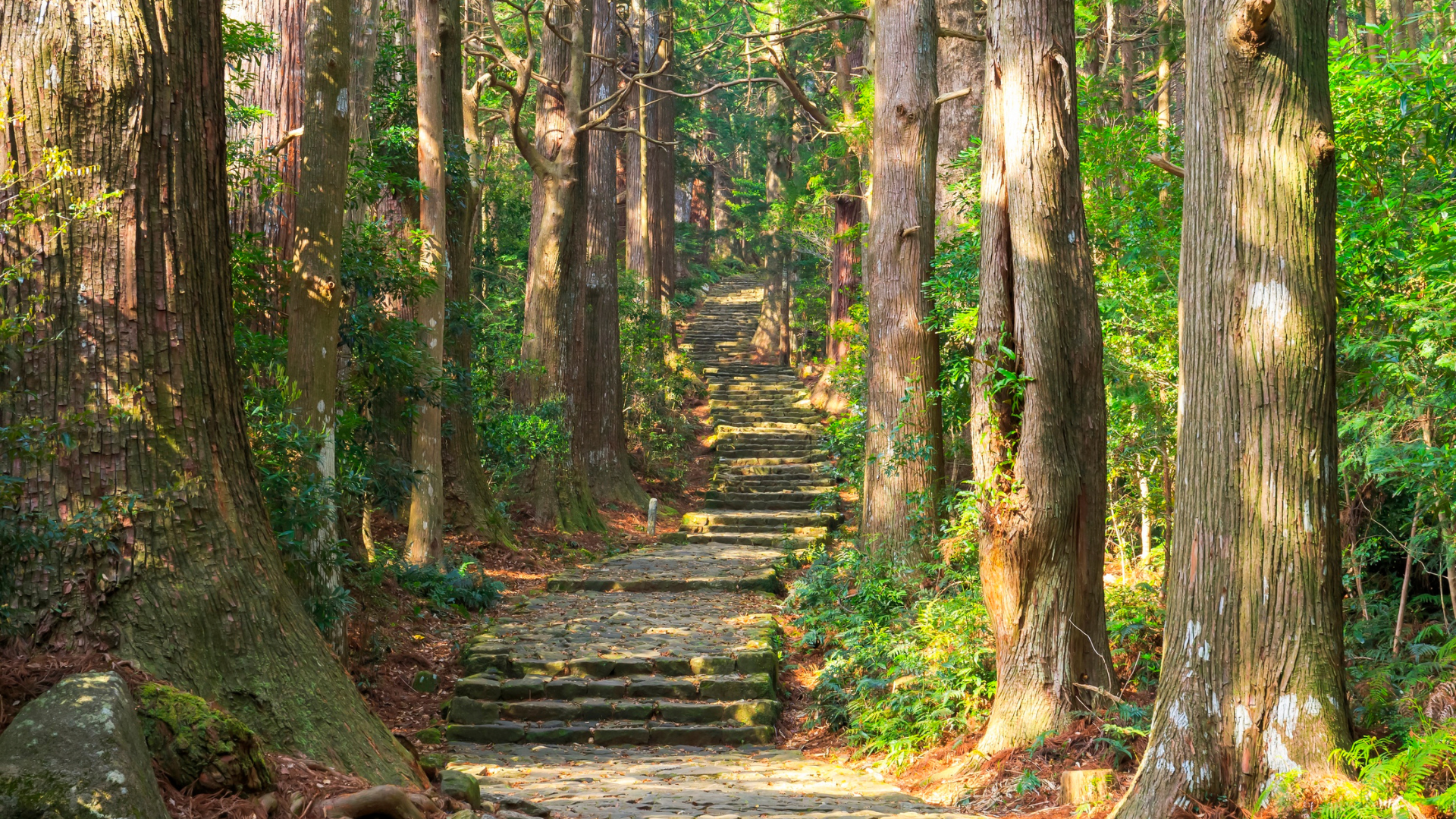 Wakayama