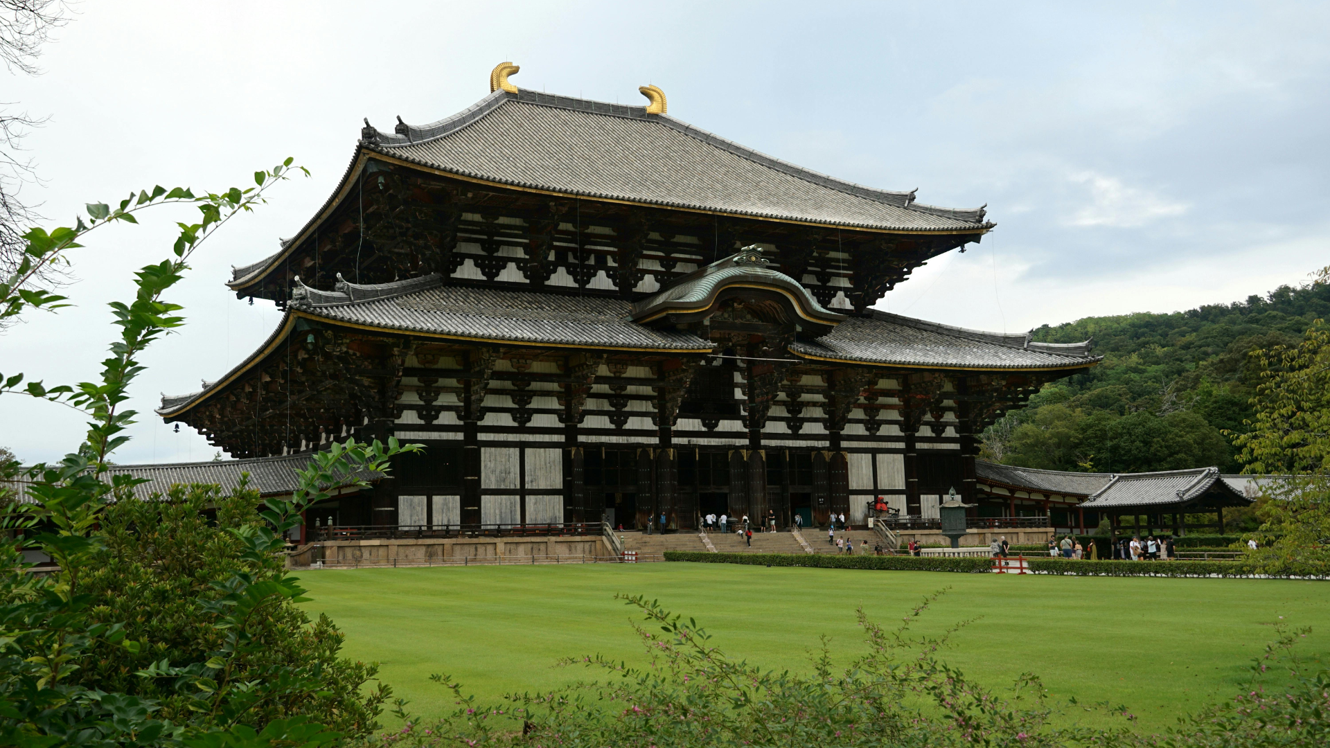 Nara