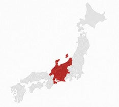 Central Japan Origins