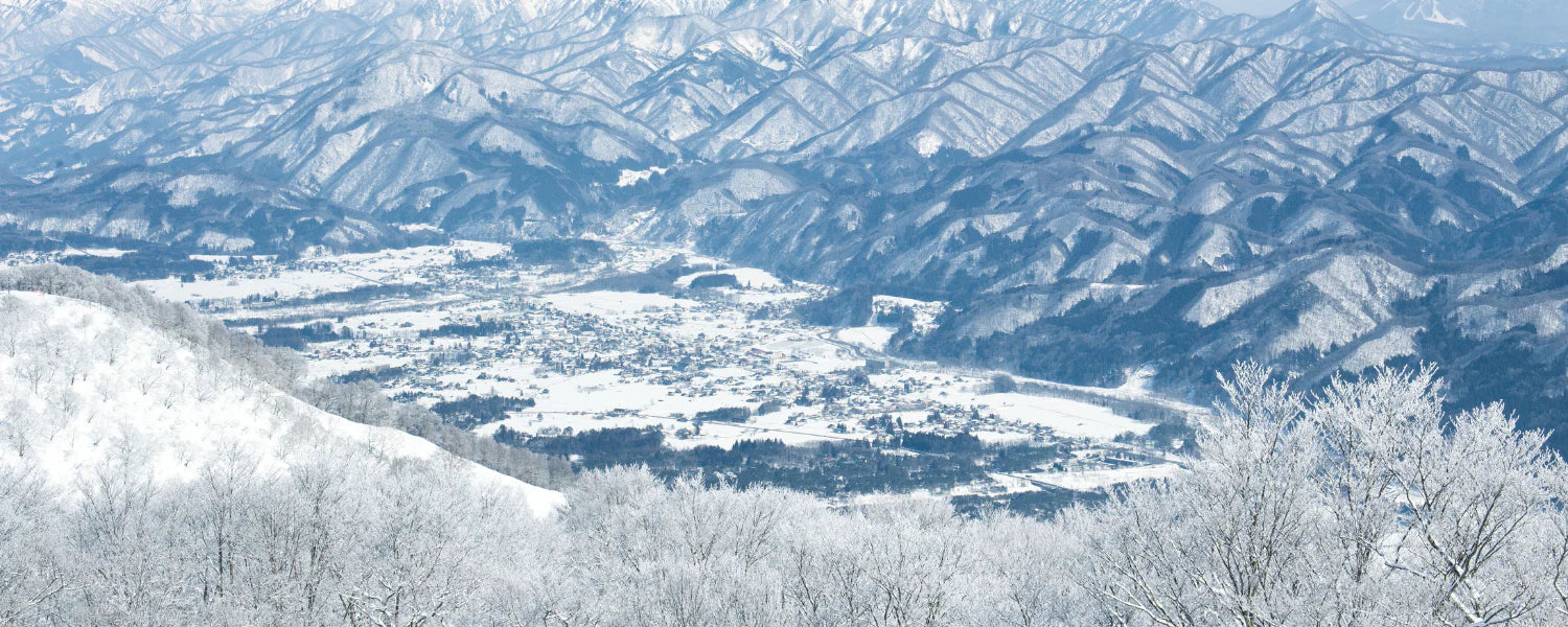 Nagano Fair