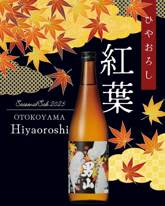 OTOKOYAMA Hiyaoroshi 720ml