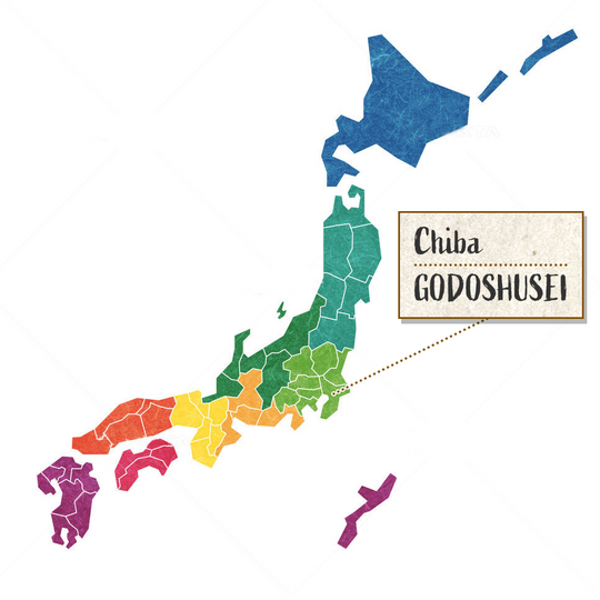 GODO Oshukubai Umeshu-Decanter with Plum 720ml